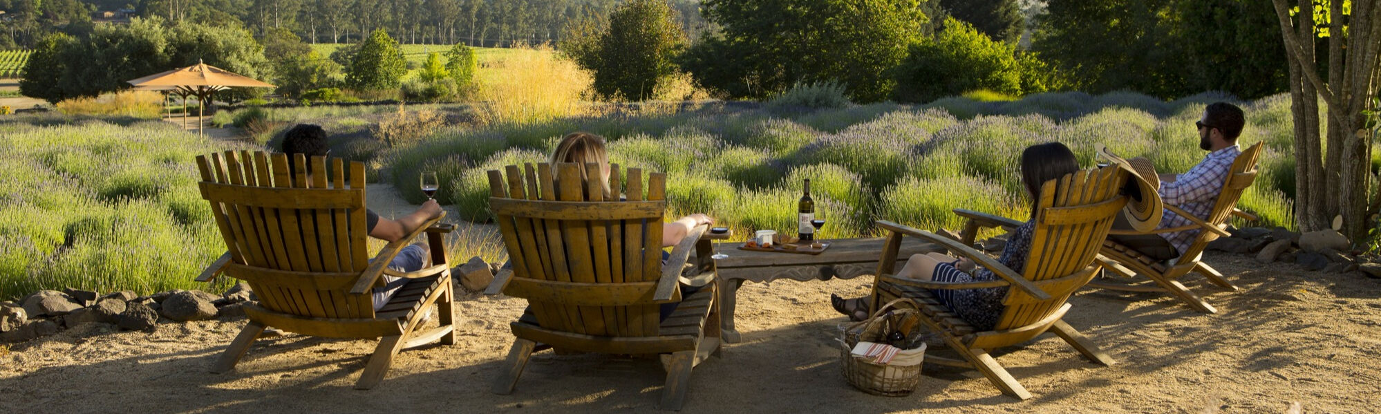 A group of people enjoying the lavender garden's lawn chairs